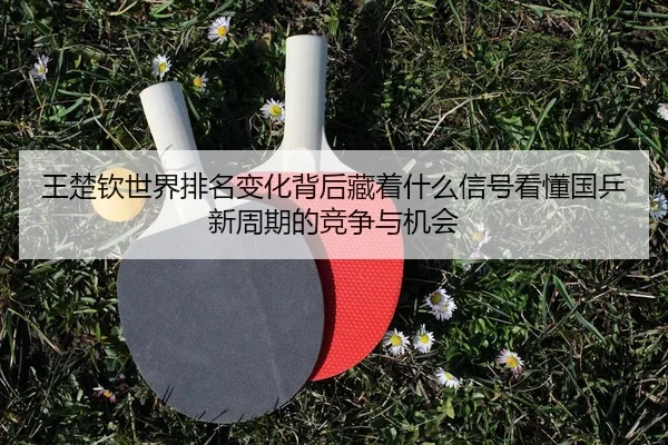 王楚钦世界排名变化背后藏着什么信号看懂国乒新周期的竞争与机会