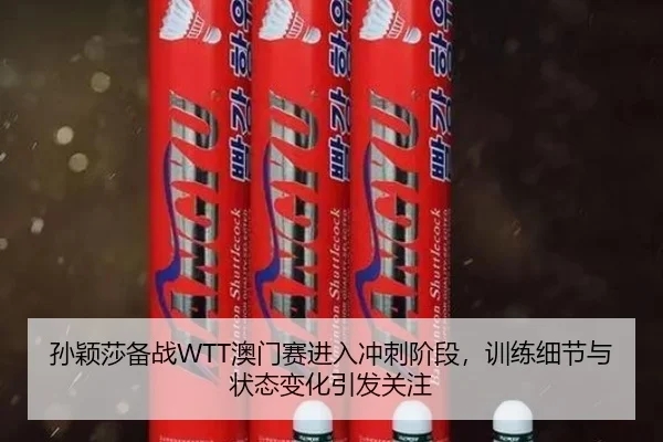 孙颖莎备战WTT澳门赛进入冲刺阶段，训练细节与状态变化引发关注